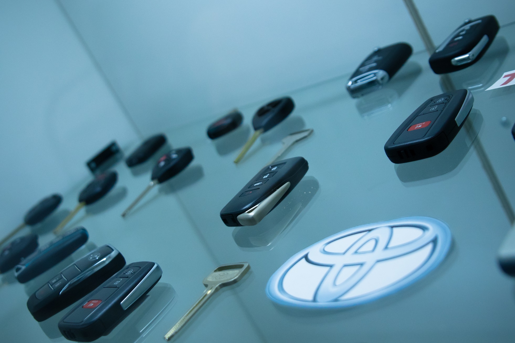 banner-principal-img-4